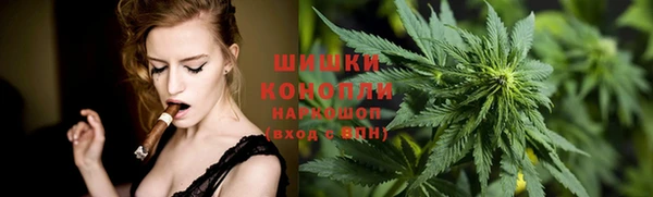 Альфа ПВП Бугульма