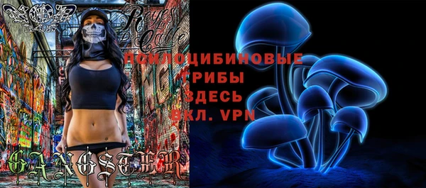 MDMA Premium VHQ Бронницы